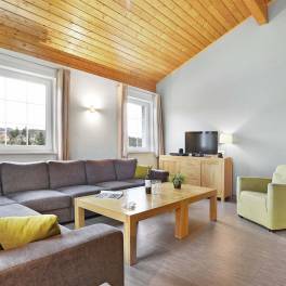The Woonkamer of Type 10FL - nr. 104 in Landal Salztal Paradies