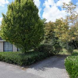 The Buiten of Type Bungalow 4 - nr. 64 in Veluwse Hoevegaerde