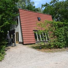 The Buiten of nr. 114 Kamperfoelie - type Bosvilla Comfort 6-7 in Landal Bungalowpark Hoenderloo