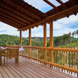 The Terras of Type Boomwoning Luxe 4P - nr. I07 in UplandParcs Sauerland
