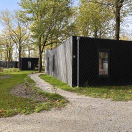 The Buiten of Type Forest Cabin 4 - nr. 130 in Vakantiepark Schaijk