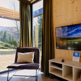 The Woonkamer of Type A Luxe - nr. E10 in UplandParcs Sauerland