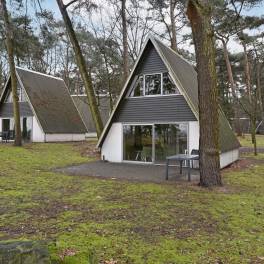 The Buiten of Type W4A - nr. 50 in Landal Bospark ’t Wolfsven