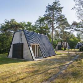 The Buiten of Type Comfort Classic - nr. 11 Calluna in Bungalowpark Hoenderloo