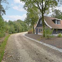 The Buiten of nr. 38 Ponybos - type Het Geheim van Otterlo 8P in EuroParcs De Zanding