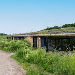 The Buiten of Type Hillside Family 6 - nr. 177 in Landal Gulpen