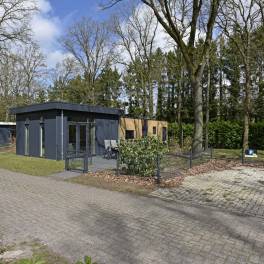The Buiten of Type Cube Deluxe Huisdiervriendelijk - nr. 110 in Park Drentheland