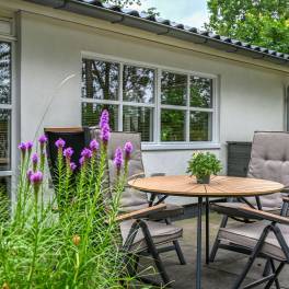 The Buiten of nr. 065 - type Vennepluus in Vakantiepark Westerbergen