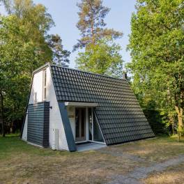 The Buiten of Type Veluwe Villa - nr. 201 Hennep in Landal Bungalowpark Hoenderloo