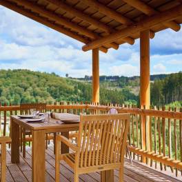 The Terras of Type Boomwoning Luxe 4P - nr. I07 in UplandParcs Sauerland