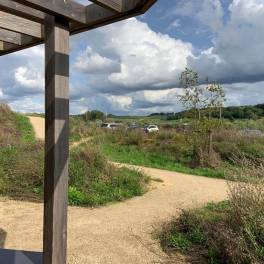 The Terras of Type Hillside Royal 4 - nr. 181 in Landal Gulpen
