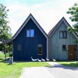 The Buiten of nr. 024 - type 4CT in Landal De Reeuwijkse Plassen