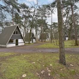 The Buiten of Type W4A - nr. 51 in Landal Bospark ’t Wolfsven