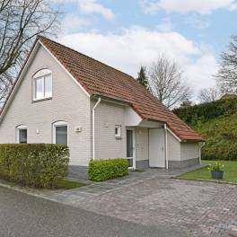 The Buiten of Type Comfort Villa 6 - nr. 155 in Resort Arcen