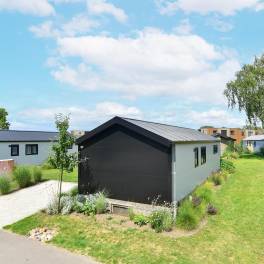 The Buiten of Type Chalet - nr. 226 in Vakantiepark Aan De Maas