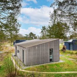 The Buiten of Type Suite Lodge A - nr. 15 in Park De Zeegser Duinen