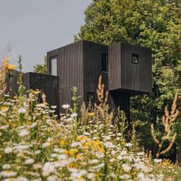 The Buiten of nr. 013 - type Treehouse 6 in Landal Gulpen