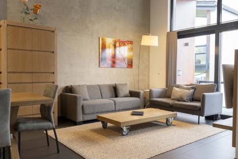 The Woonkamer of Type Maxima - nr. 15 in Villas Winterberg