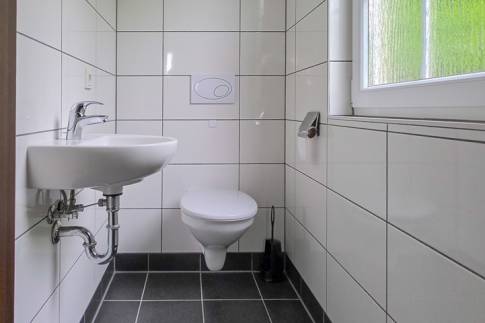 The Toilet of nr. 146 - type Astoria Luxe 8 in Eifelpark Kronenburger See