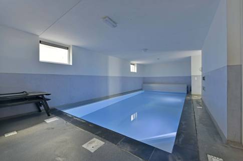 The Zwembad of Type Wellness Zwembadvilla 8 - nr. 219 in Resort Arcen