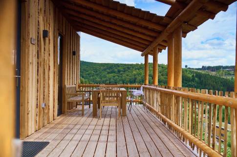 The Terras of Type Boomwoning Luxe 4P - nr. I07 in UplandParcs Sauerland