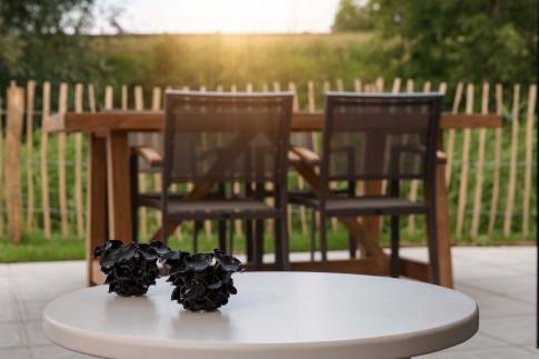 The Buiten of Type Familievilla 16 - nr. 4 in Landal Park Veerse Kreek