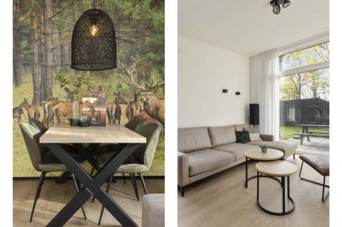 The Woonkamer of Type Forest Cabin 4 - nr. 130 in Vakantiepark Schaijk