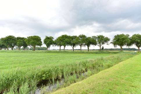 The Buiten of Type Watervilla 4 - nr. 49 in Waterstaete Ossenzijl