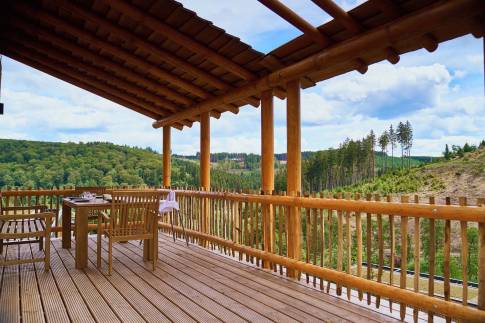 The Terras of Type Boomwoning Luxe 4P - nr. I07 in UplandParcs Sauerland