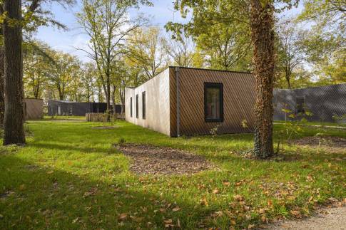 The Buiten of Type Forest Cabin Kids 6 - nr. 118 in Vakantiepark Schaijk