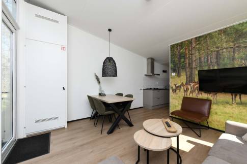 The Woonkamer of Type Forest Cabin Wellness 4 - nr. 129 in Roompot Vakantiepark Schaijk
