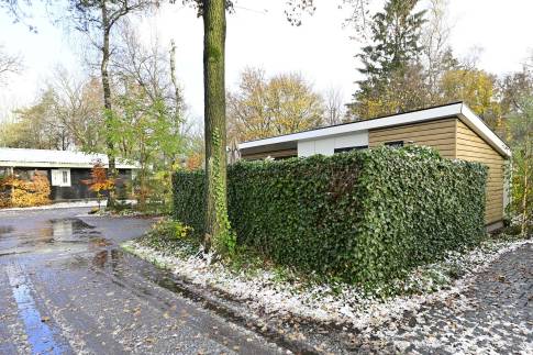 The Omgeving of Type Bos Lodge Silva Beach - nr. 73 in Landgoed De Scheleberg