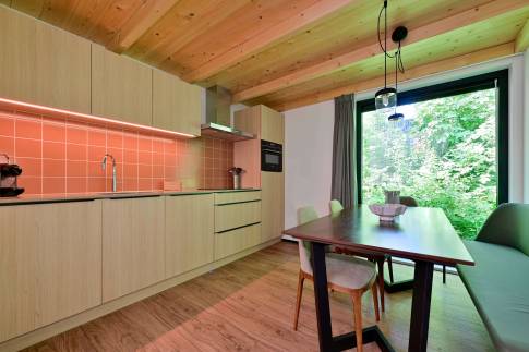 The Keuken of Type Green Valley 6 - nr. 46 in Landal Gulpen