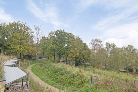 The Omgeving of Type Hillside Comfort 4 - nr. 143 in Landal Gulpen