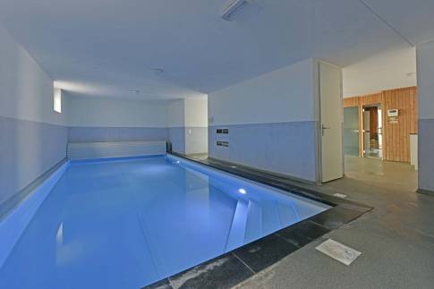 The Zwembad of Type Wellness Zwembadvilla 8 - nr. 219 in Resort Arcen