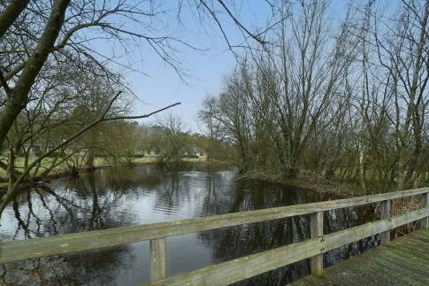The Omgeving of Type Bungalow 4 - nr. 163 in Veluwse Hoevegaerde