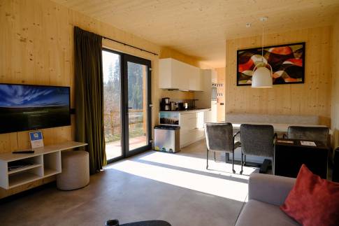 The Woonkamer of Type A Luxe - nr. E10 in UplandParcs Sauerland