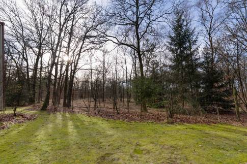 The Tuin of Type Bosvilla Comfort 6-7 - nr. 16 Moerbei in Landal Bungalowpark Hoenderloo