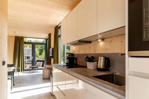 The Keuken of Type A Luxe - nr. C06 in UplandParcs Sauerland