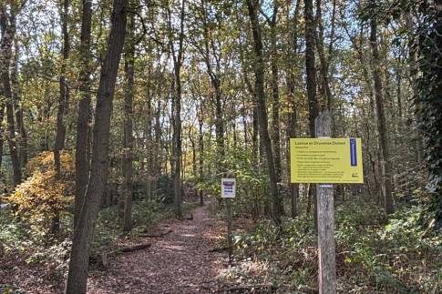 The Omgeving of Type 6L - nr. 802 in Landal Kaatsheuvel