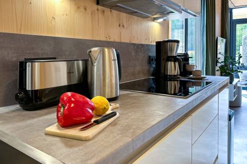 The Keuken of Type Huis A Luxe - nr. C02 in UplandParcs Sauerland