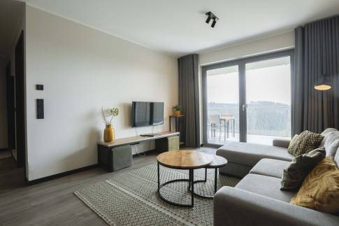The Woonkamer of Type Appartement - nr. C2 in Astenblick Apartments