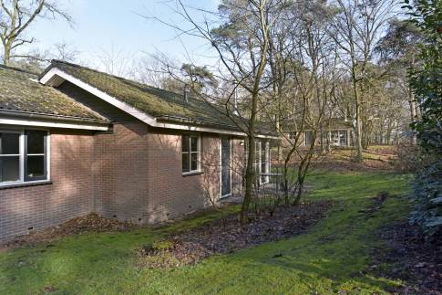 The Tuin of Type Bungalow 4C - nr. 33 in Landal De Peel