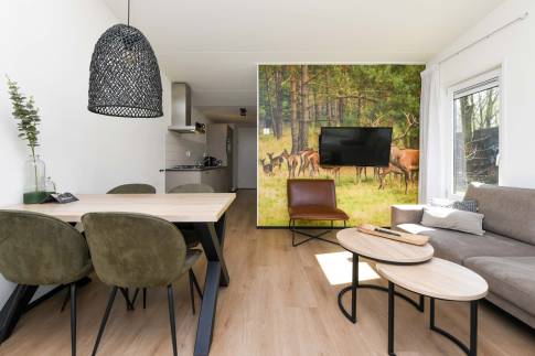 The Woonkamer of Type Forest Cabin Wellness 4 - nr. 129 in Roompot Vakantiepark Schaijk