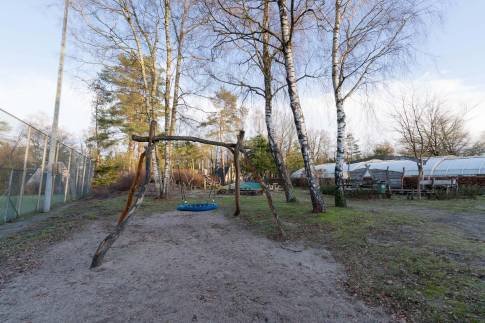 The Omgeving of Type Bosvilla Comfort 6-7 - nr. 16 Moerbei in Landal Bungalowpark Hoenderloo