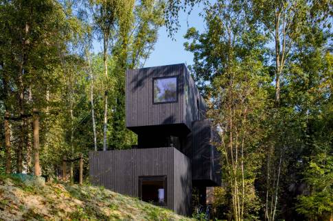 The Buiten of nr. 013 - type Treehouse 6 in Landal Gulpen