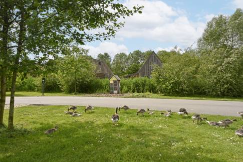 The Buiten of Type 6C2 - nr. 171 in Landal De Reeuwijkse Plassen