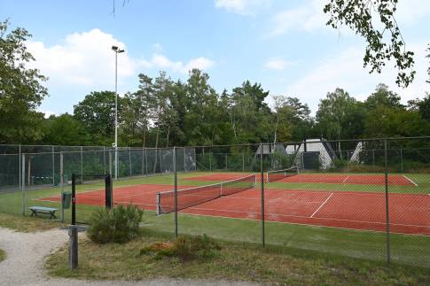 The Omgeving of nr. 114 Kamperfoelie - type Bosvilla Comfort 6-7 in Landal Bungalowpark Hoenderloo