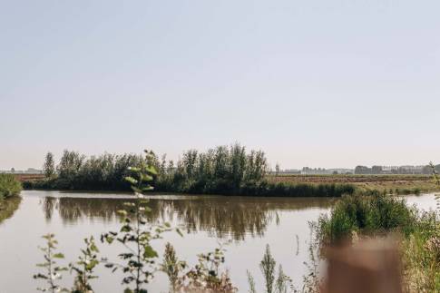 The Omgeving of Type Familievilla 16 - nr. 2 in Landal Park Veerse Kreek