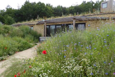 The Buiten of Type Hillside Royal 4 - nr. 134 in Landal Gulpen
